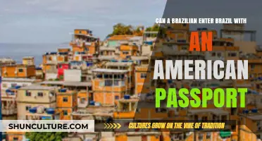 Can Brazilians Use US Passports for Entry to Brazil?