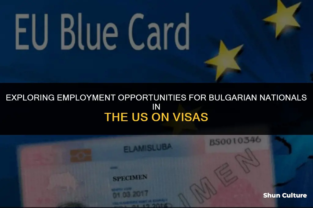 can a bulgarian in us on visa work