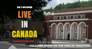 Exploring Opportunities: Can a Bulgarian Thrive in Canada?