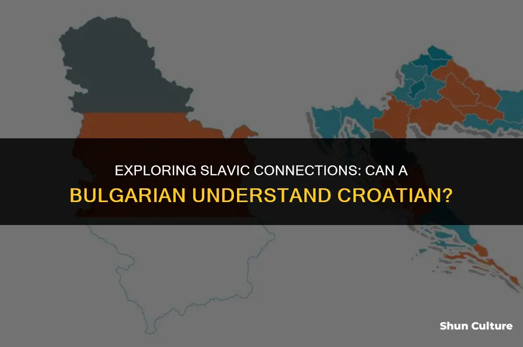 can a bulgarian person understand croatian
