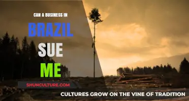 Can a Brazilian Business Sue You? Legal Insights for International Defendants