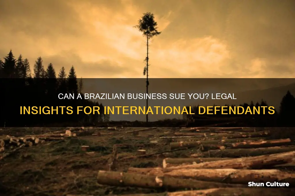 can a business in brazil sue me