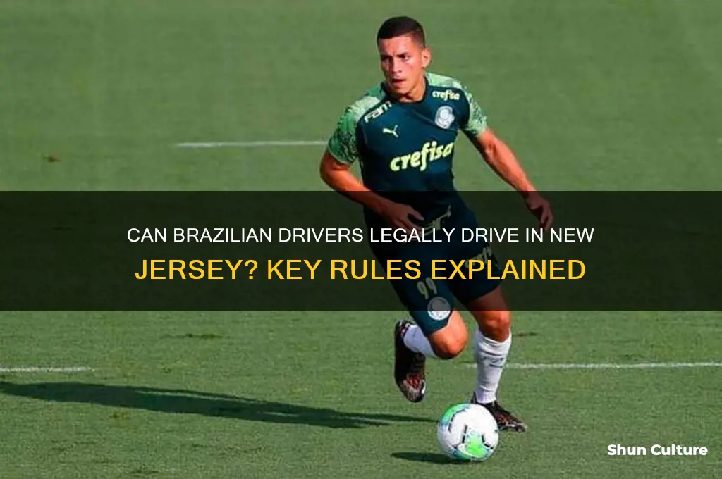 can a driver from brazil drive in nj