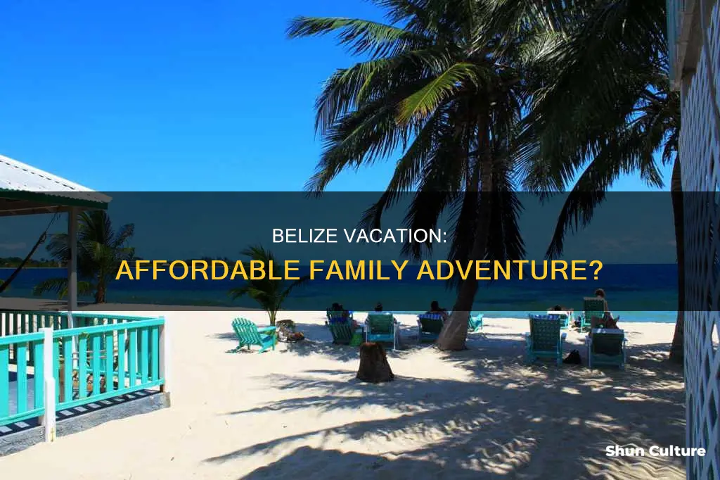 can a family of 4 afford a vacation to belize