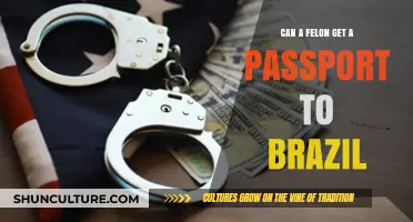 Can Felons Travel to Brazil? Passport Eligibility Explained