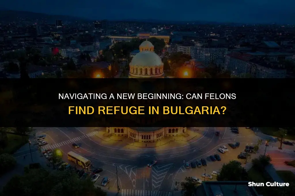 can a felon move to bulgaria