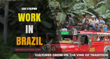 Filipinos Working in Brazil: Opportunities, Requirements, and Cultural Insights