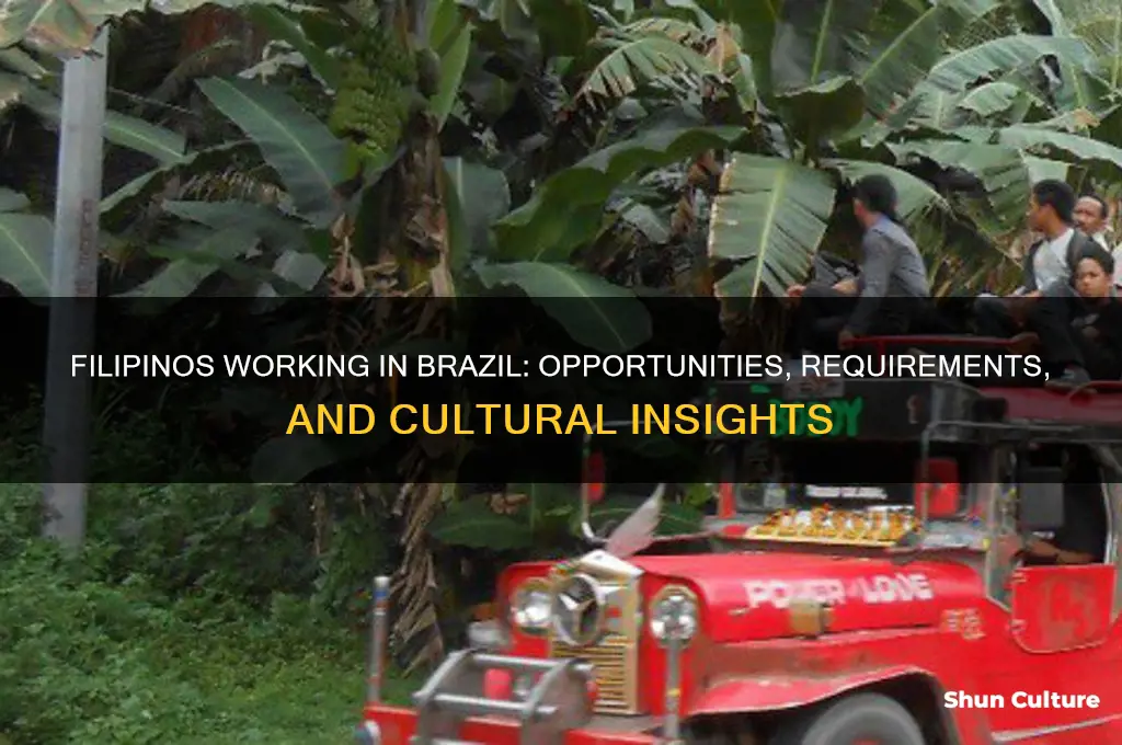 can a filipino work in brazil
