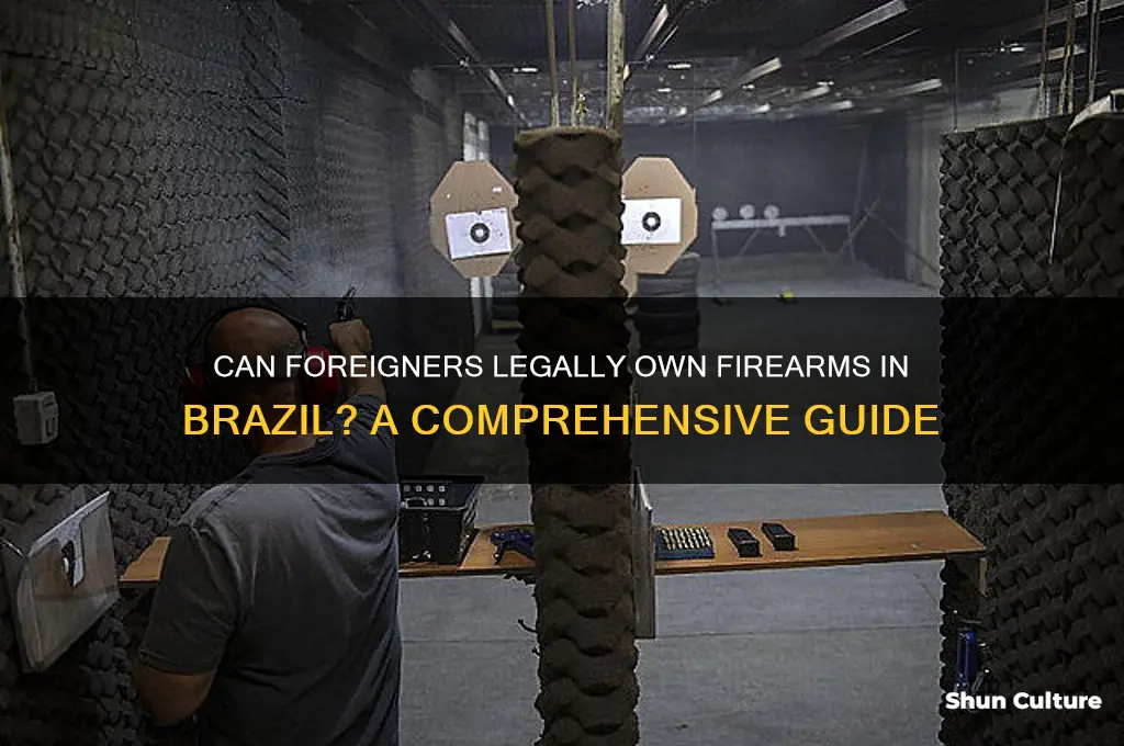 can a foreigner own a gun in brazil
