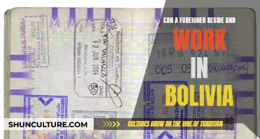 Foreigners Working in Bolivia: Can They Stay?