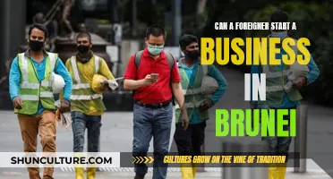 Foreign Entrepreneurs: Starting a Business in Brunei