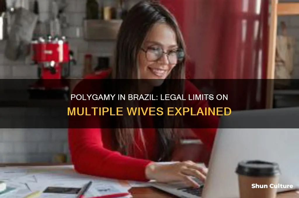 can a man marry for than 2 wives in brazil