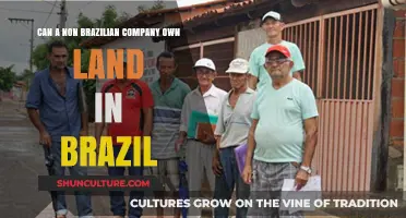 Can Foreign Companies Own Land in Brazil? Legal Insights
