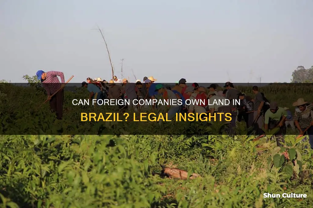 can a non brazilian company own land in brazil