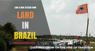 Can Non-Citizens Own Land in Brazil? Legal Insights Explained
