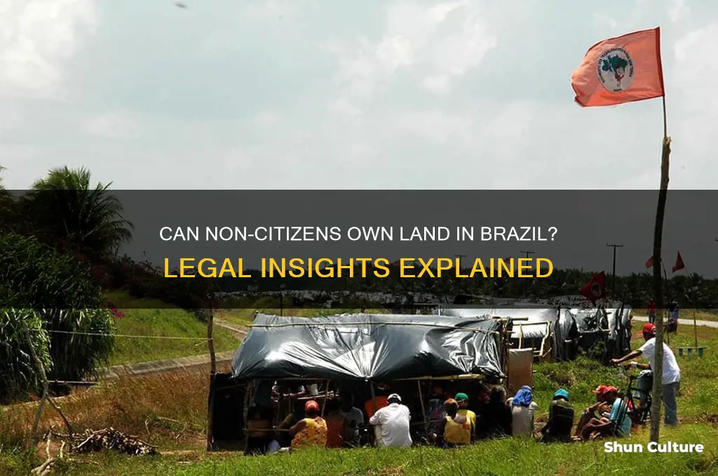 can a non citizen own land in brazil