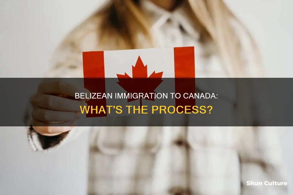 can a person from belize move to canada