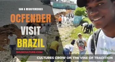 Can Registered Sex Offenders Travel to Brazil? Legal Insights