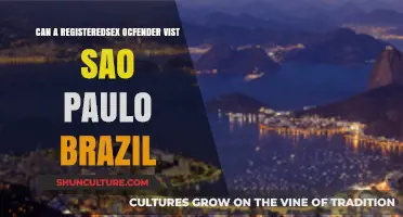 Can Registered Sex Offenders Legally Visit São Paulo, Brazil?