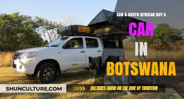 Buying a Car in Botswana: A Guide for South African Citizens