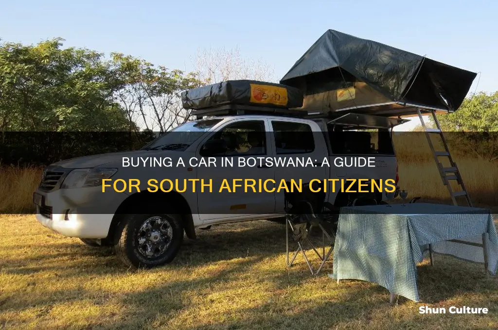 can a south african buy a car in botswana