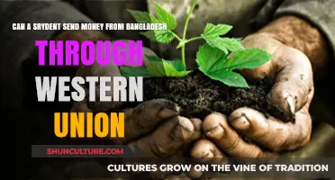 Sending Money from Bangladesh via Western Union: A Student's Guide
