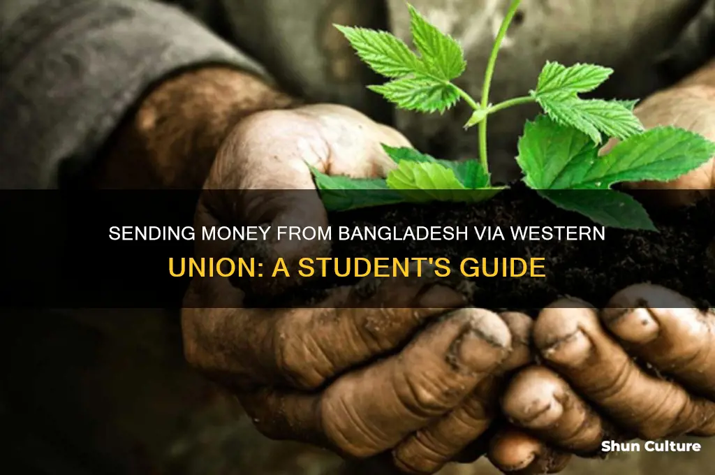 can a srydent send money from bangladesh through western union