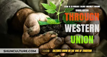 Sending Money Abroad: Western Union Options for Bangladeshi Students