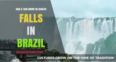 Exploring Iguazu Falls: Can Taxis Navigate Brazil's Natural Wonder?