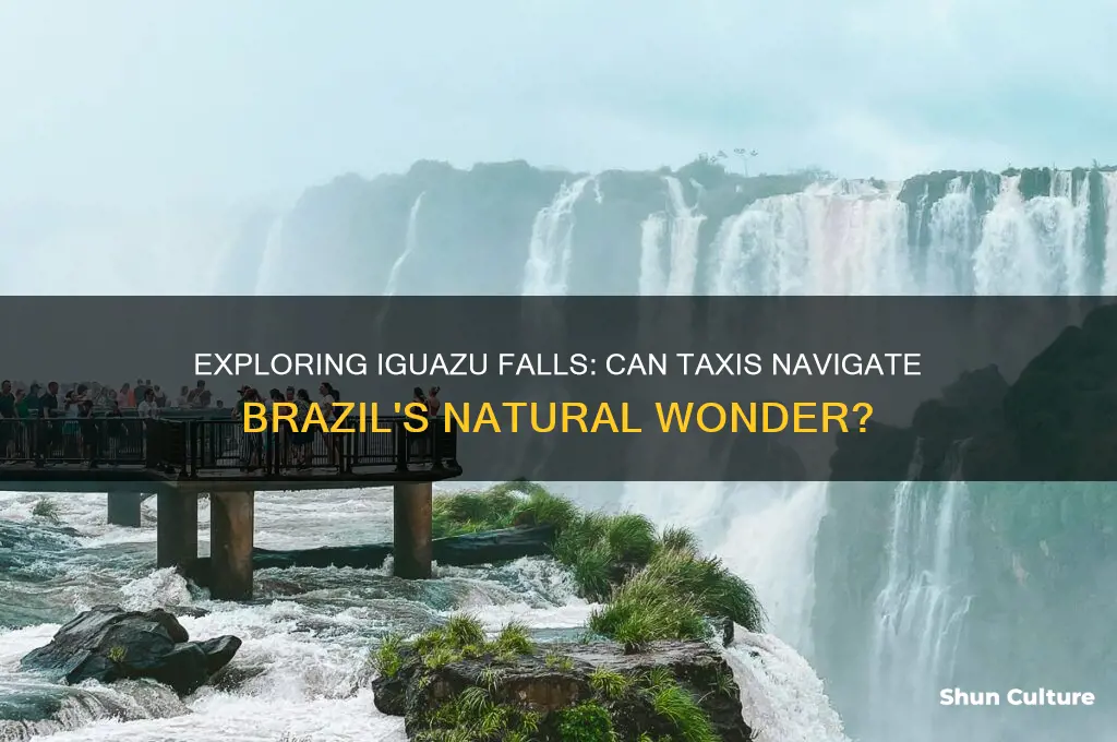can a taxi drive in iguazu falls in brazil