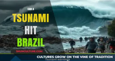 Could Brazil Face a Tsunami Threat? Exploring the Risks and Realities