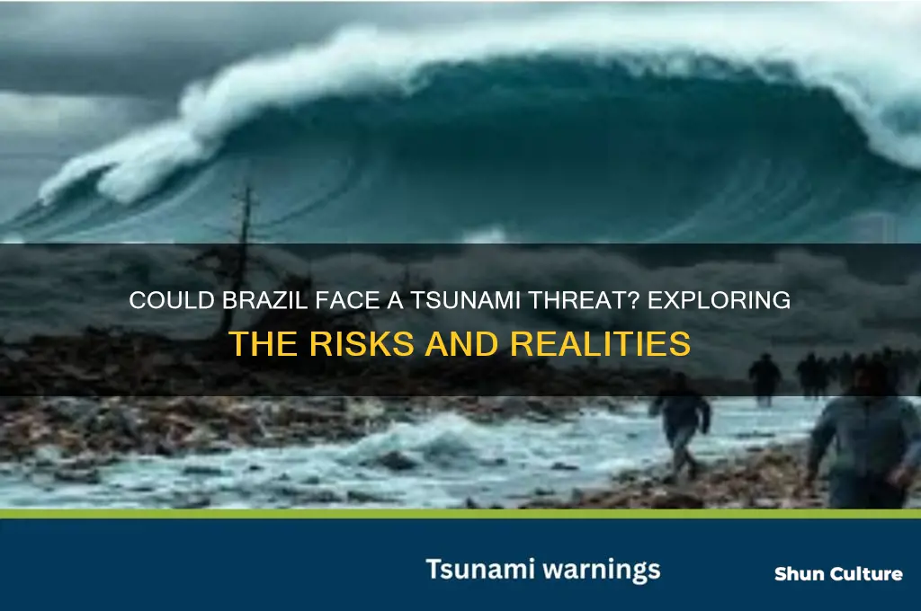 can a tsunami hit brazil