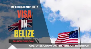 UK Citizens: E-2 Visa Application for Belize