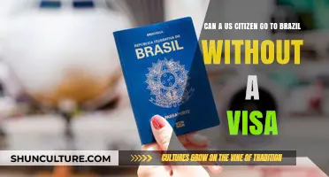 US Citizens Traveling to Brazil: Visa-Free Entry Explained