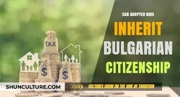 Exploring Inheritance of Bulgarian Citizenship for Adopted Children