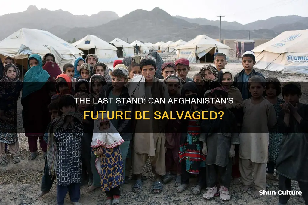 can afghanistan be saved