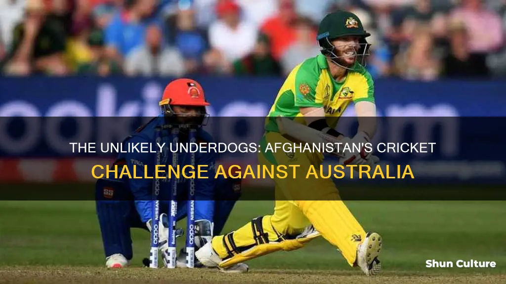 can afghanistan beat australia