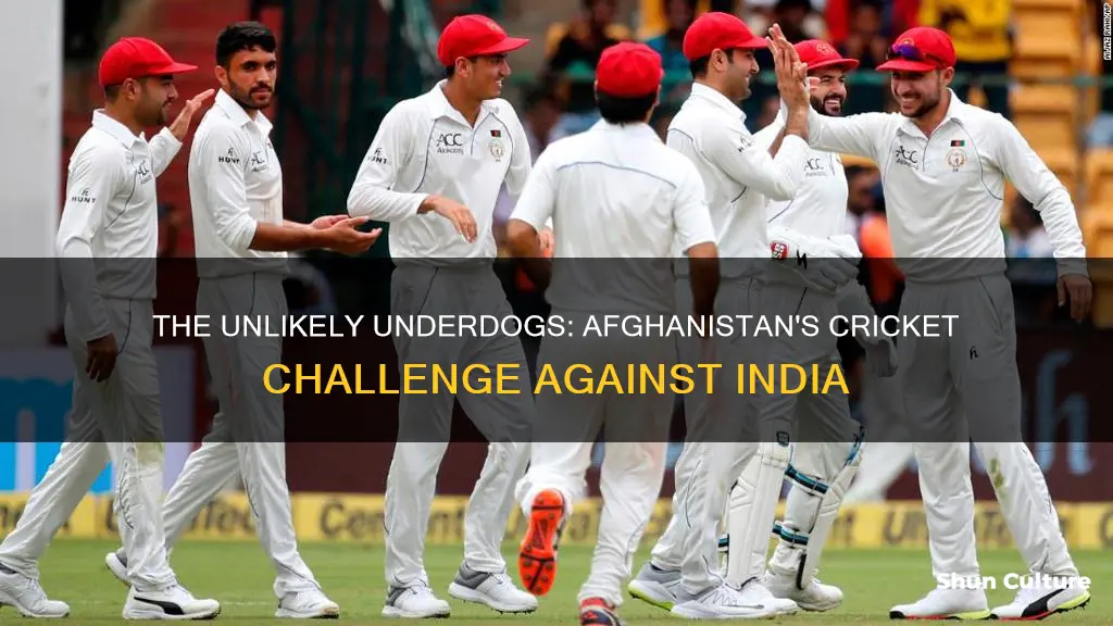 can afghanistan beat india