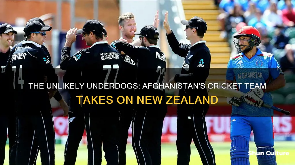 can afghanistan beat newzealand