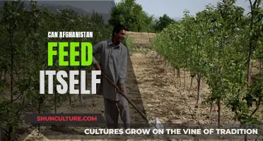 The Plight of Food Security in Afghanistan: A Nation's Struggle for Self-Sufficiency