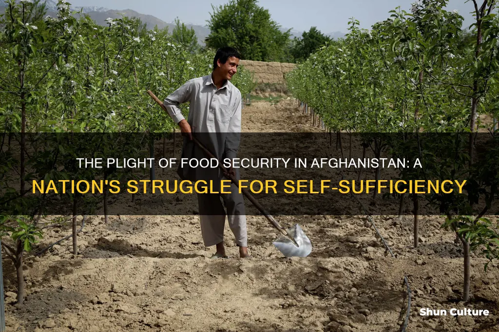 can afghanistan feed itself