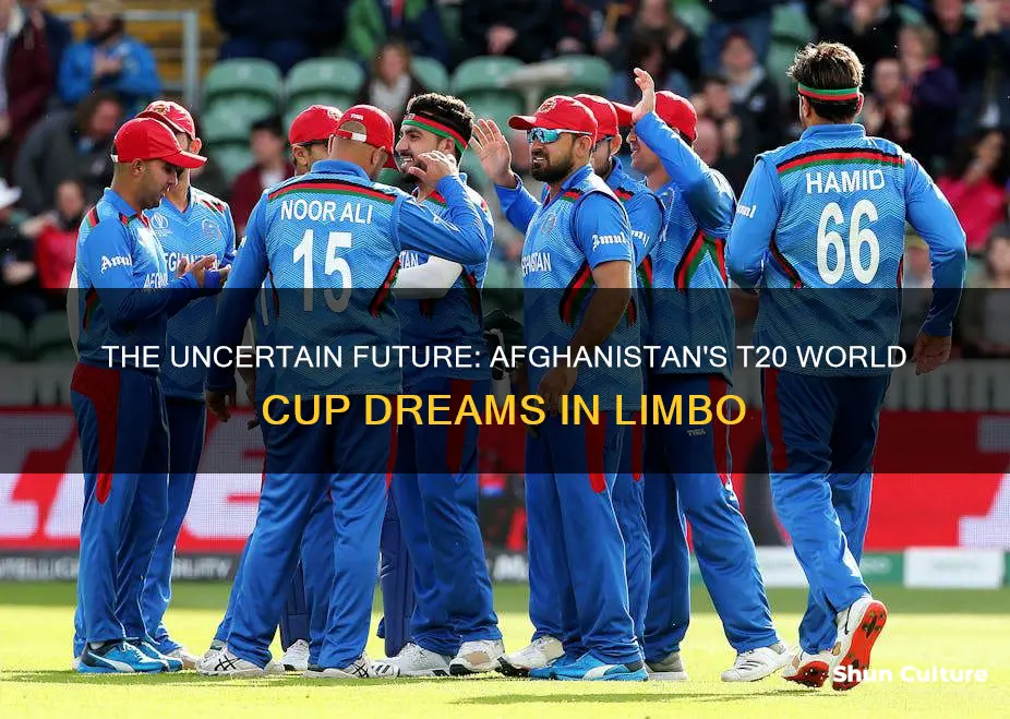 can afghanistan play t20 world cup