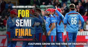 The Resurgence of the Afghan Cricket Team: Can They Surpass Expectations and Qualify for the Semi-Finals?