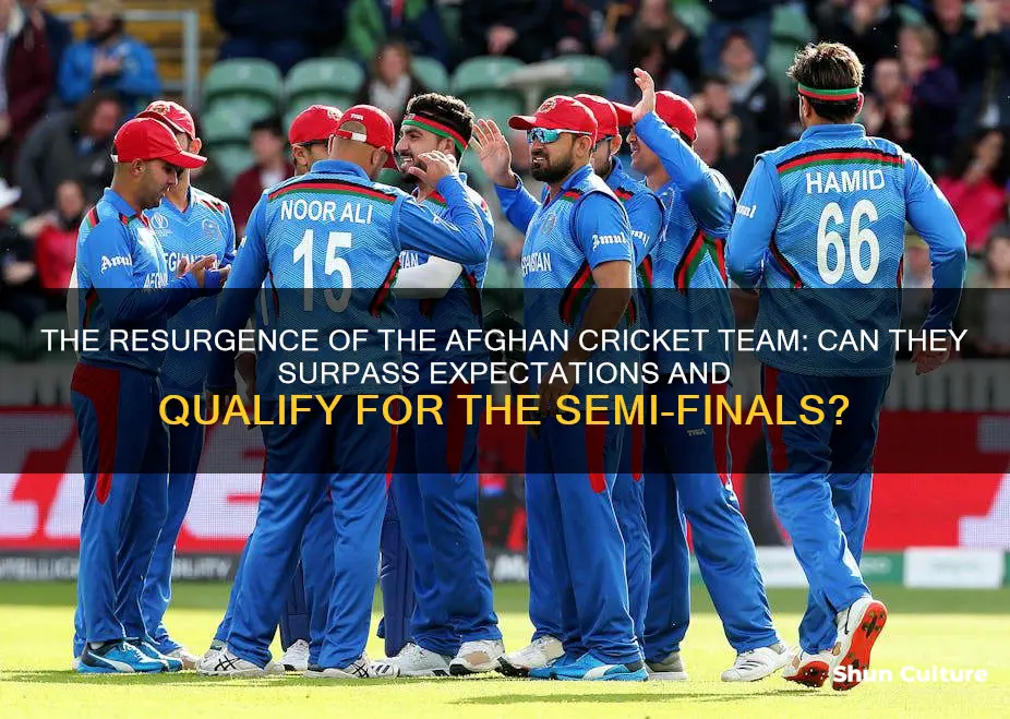 can afghanistan qualify for semi final