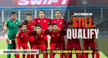 Afghanistan's Last Stand: Can They Still Qualify?