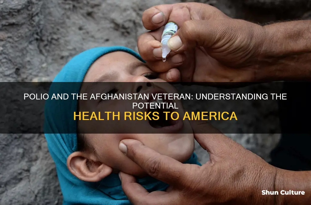 can afghanistan veterans bring polio over to america