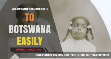 Afro-Americans Moving to Botswana: Immigration Process Simplified or Challenging?