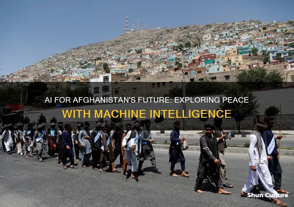 can ai help with peace in afghanistan