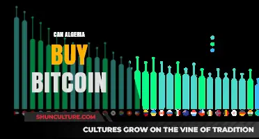 Can Algeria Embrace Bitcoin? Exploring Crypto Accessibility and Regulations