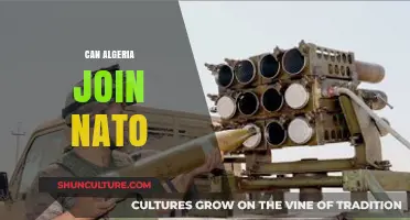 Algeria's NATO Membership: Feasibility, Challenges, and Strategic Implications